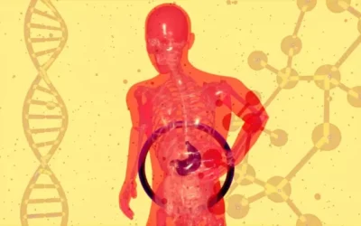 Understanding Nonalcoholic Fatty Liver